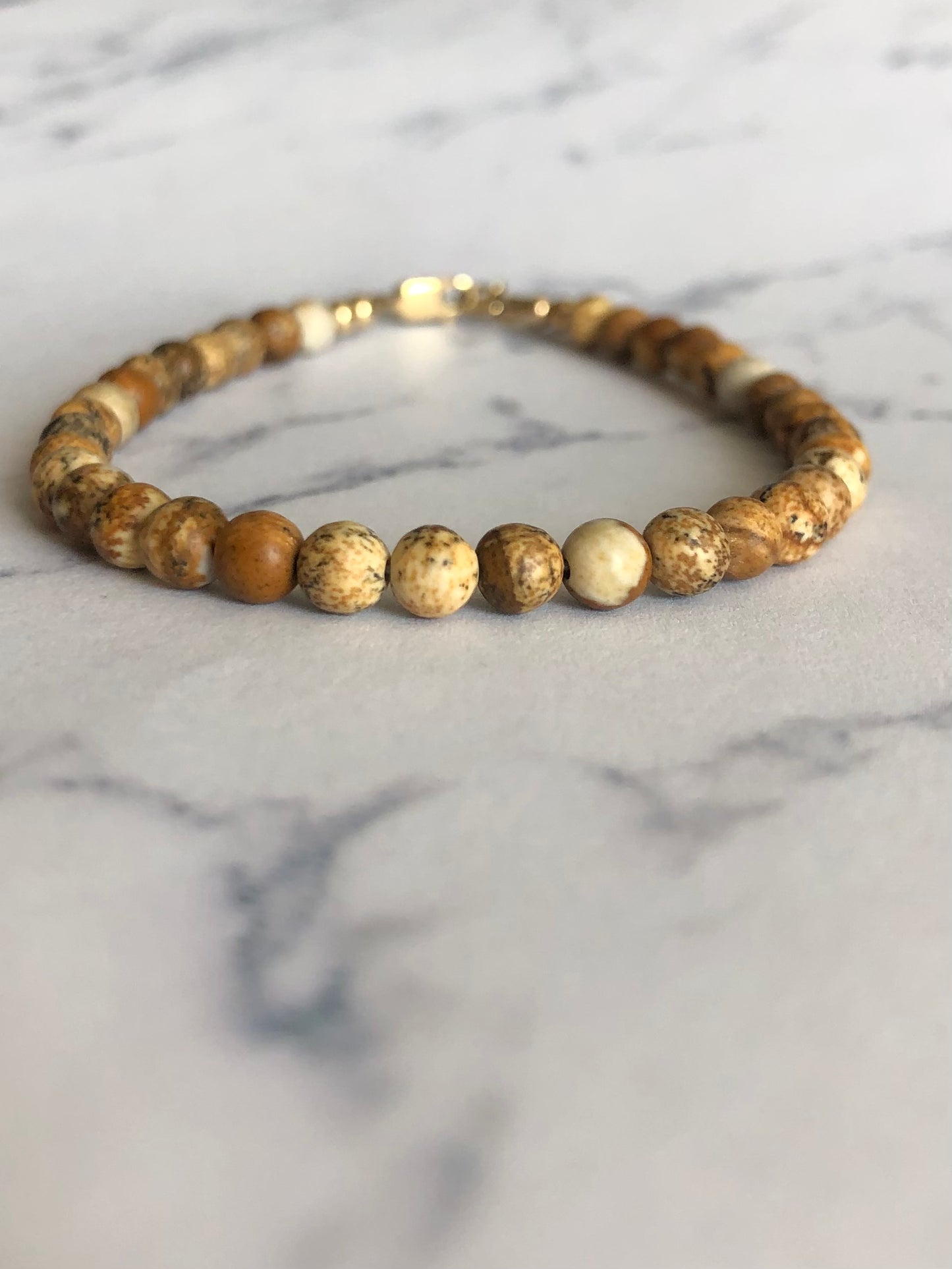 Picture Jasper Bracelet